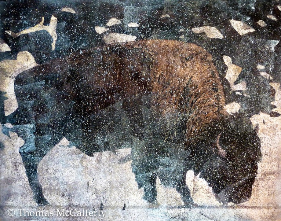 Bison alone (1 of 1)