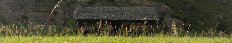 Burning the Paradise Valley-2