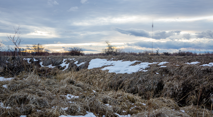 thanksgiving hunting-3-2