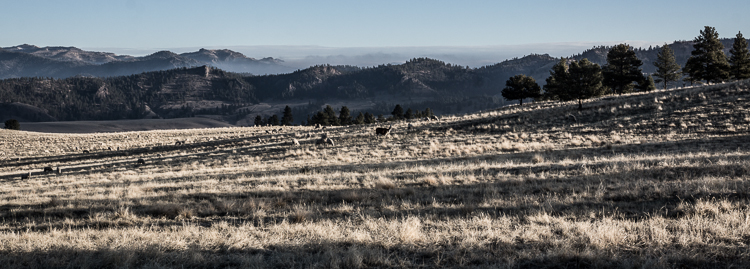 thanksgiving hunting-4