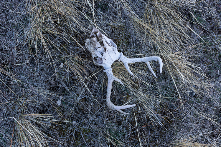 thanksgiving hunting-5