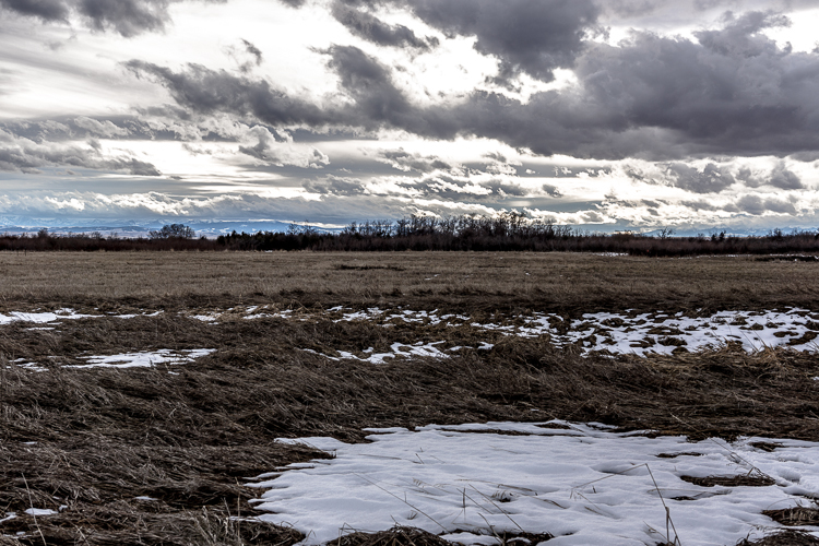 thanksgiving hunting-8