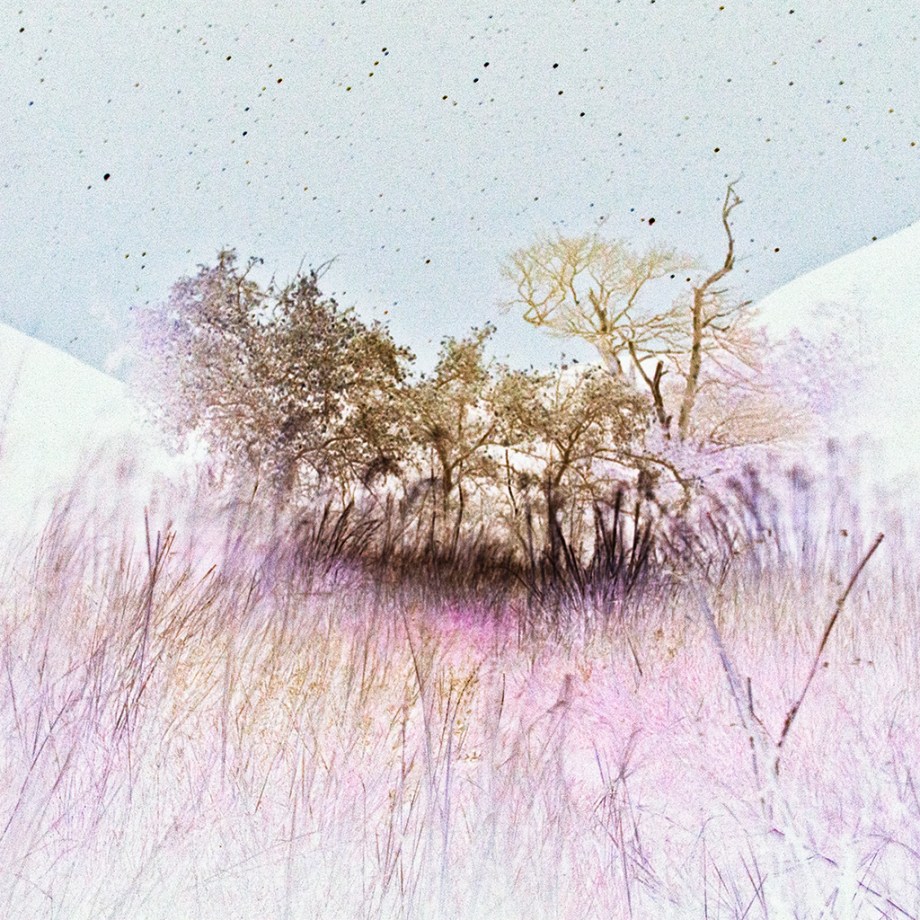 busses and peace large