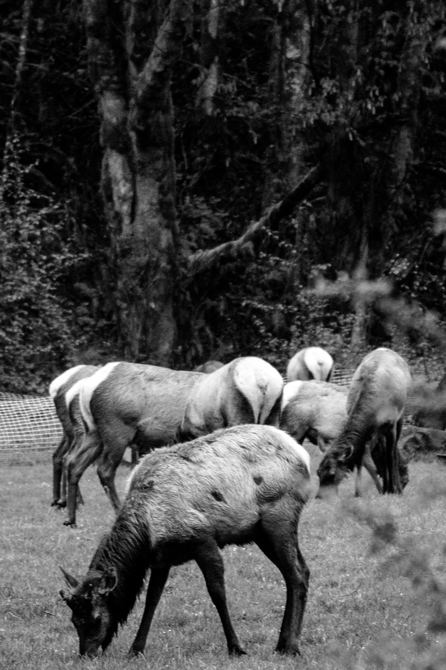 2016 Clamming on the OP (15 of 18)