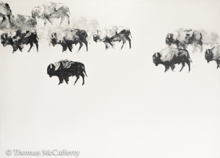 december 2017 bison art (1 of 1)