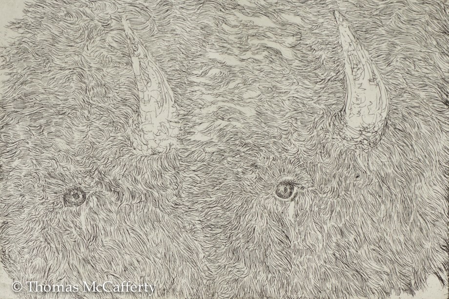 march 2018 bison art (1 of 5)