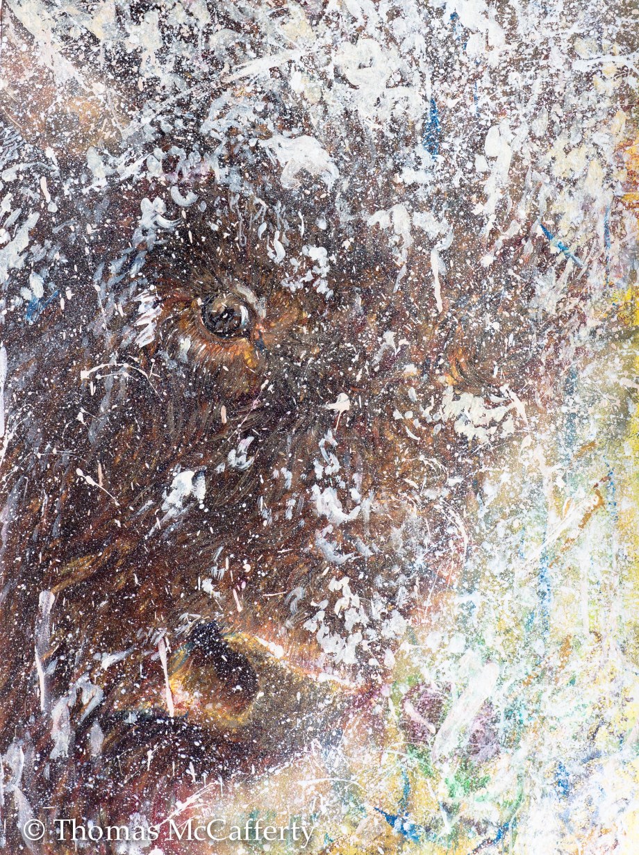 march 2018 bison art (5 of 5)