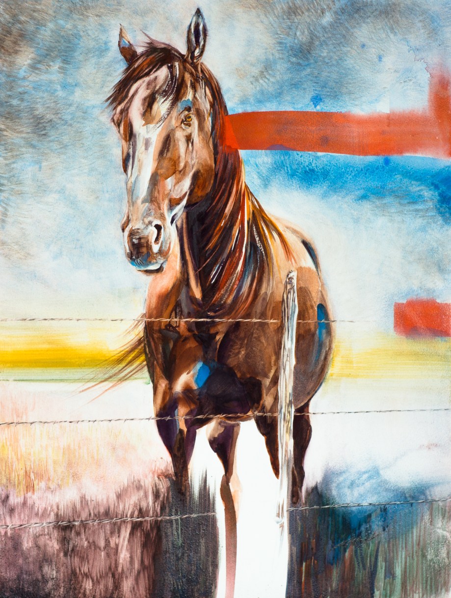 Untitled Horse 1